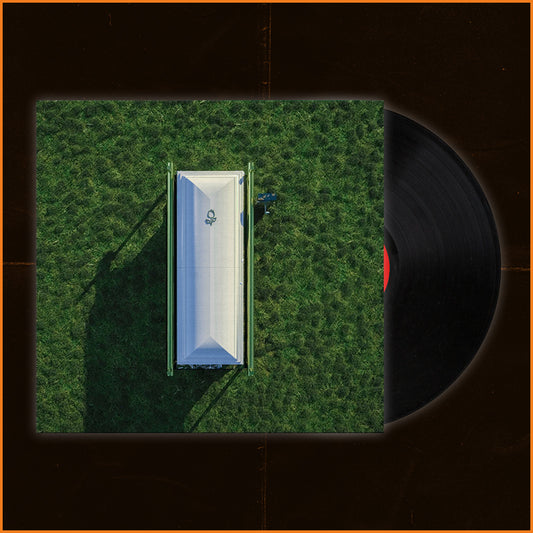 Slowly Getting Better Standard Black Vinyl